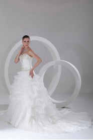 Organza Sweetheart Ball Gown with Embroidery