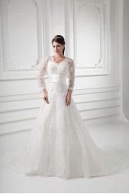 Organza V Neckline A Line Gown with Three-quarter Sleeves