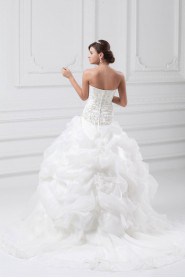 Organza Strapless A Line Gown with Embroidery