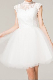 Lace Jewel Neckline Short Dress