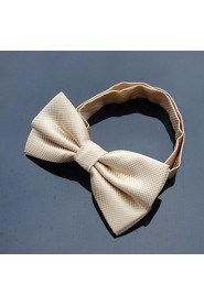 Men Vintage/Cute/Party/Work/Casual Bow Tie , Polyester