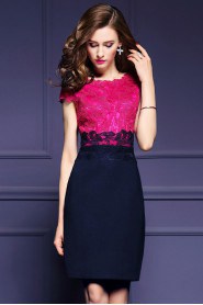 Lace Knee-length Short Sleeve Scoop Lace Mother of the Bride Dress