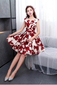 A-line V-neck Lace Prom / Evening Dress