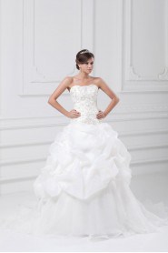 Organza Strapless A Line Gown with Embroidery