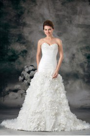 Taffeta Sweetheart A Line Gown with Embroidery