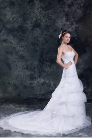 Organza Sweetheart Sheath Gown with Embroidery