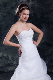 Organza Sweetheart Sheath Gown with Embroidery