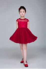 A-line Flower Girl Dress