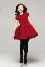 A-line Flower Girl Dress